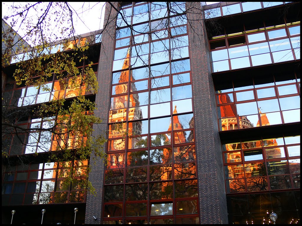 A KKDSZ állásfoglalása Szegeden is megjelent