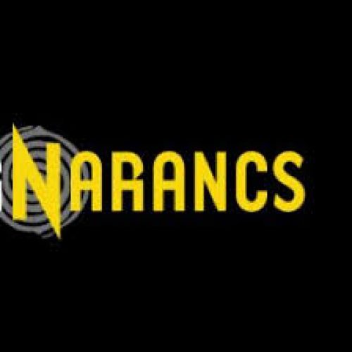 MagyarNarancs_logo