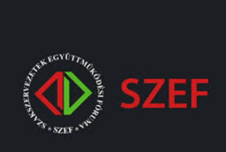 szef logo fekete